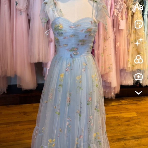 Floral Embroidered Blue Gown